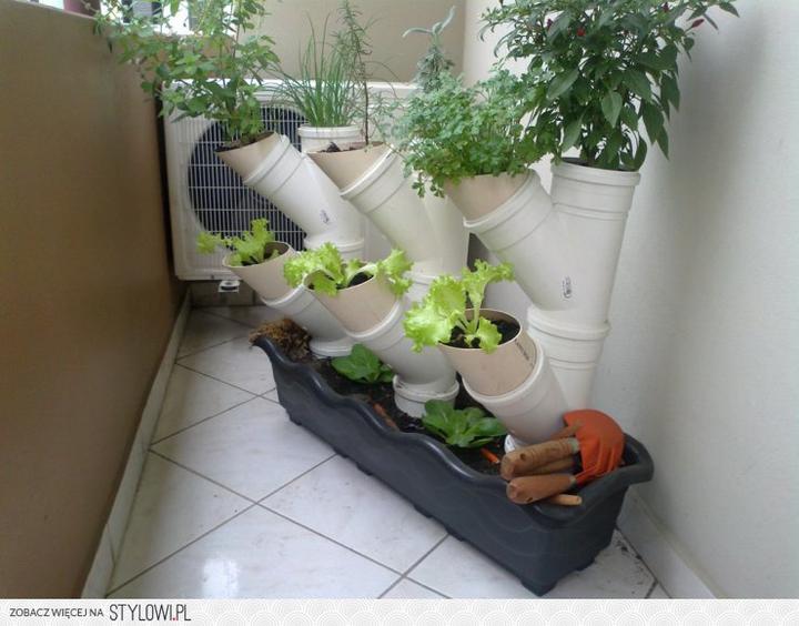 Zrób to sam kwietnik