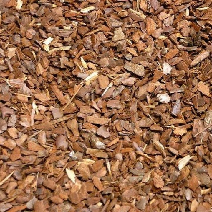 Jak obliczyć, ile kory na m2 ziemi w ogrodzie będzie potrzebne?