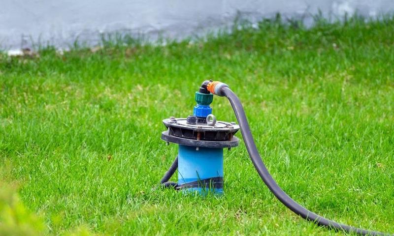 Naturalne metody wykrywania wody