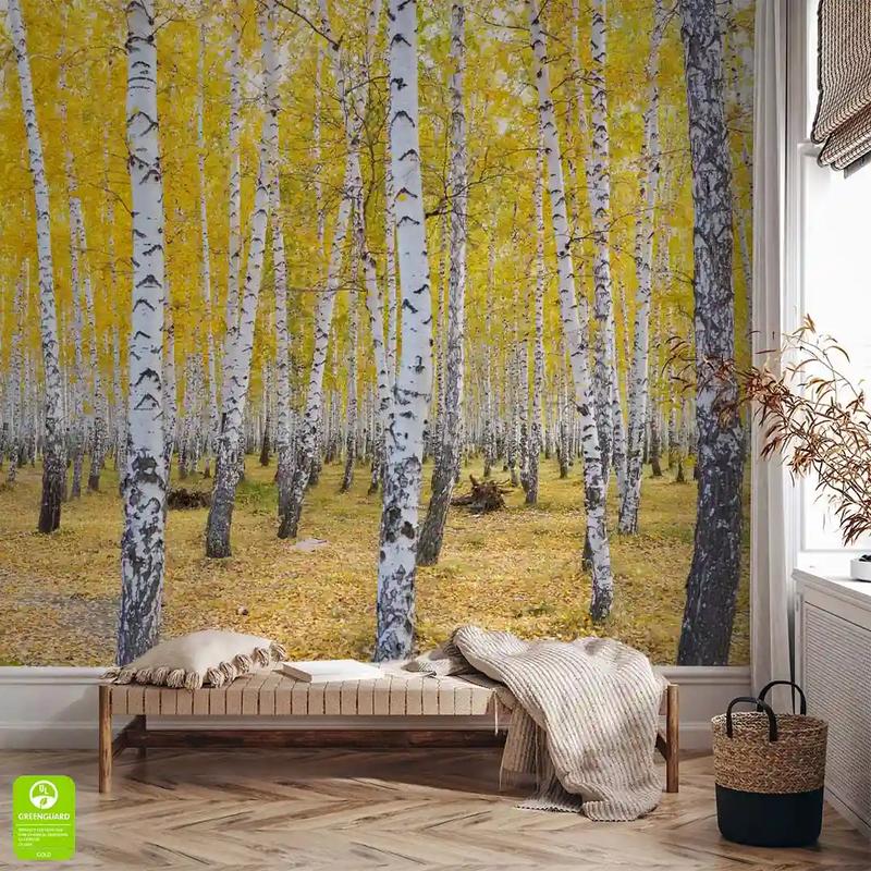 Idealne warunki dla brzóz