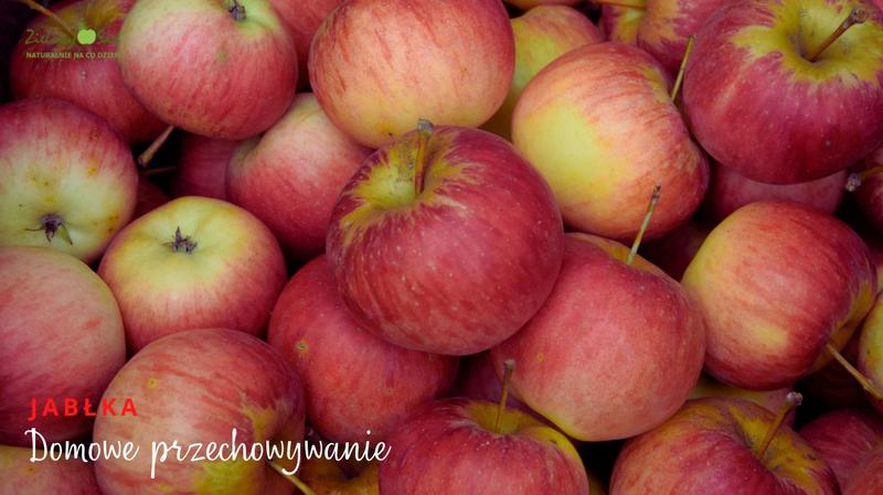 Idealne warunki przechowywania