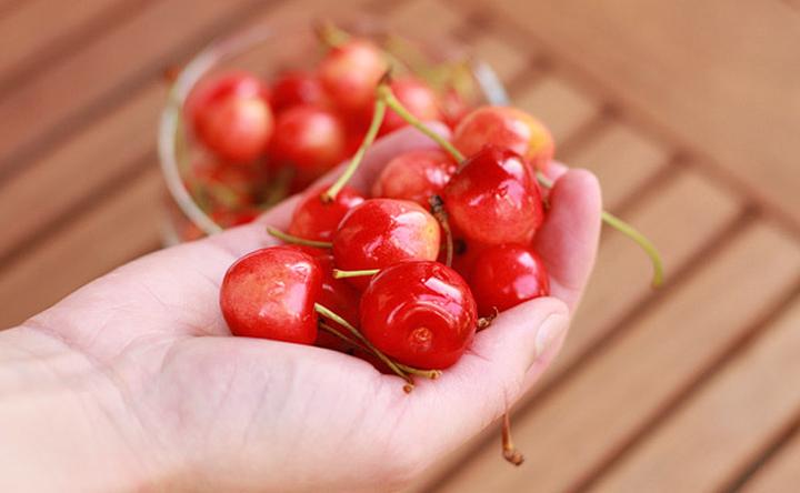 Odmiany czereśni do ogrodu