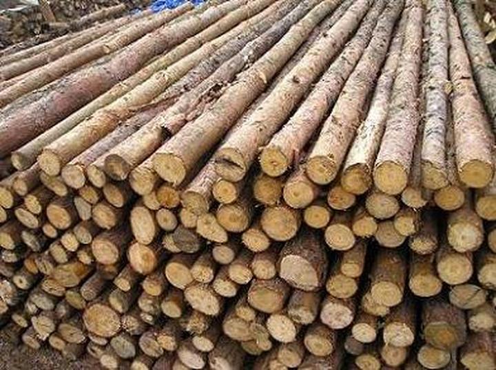 Praktyczne zalety drewnianego ogrodzenia