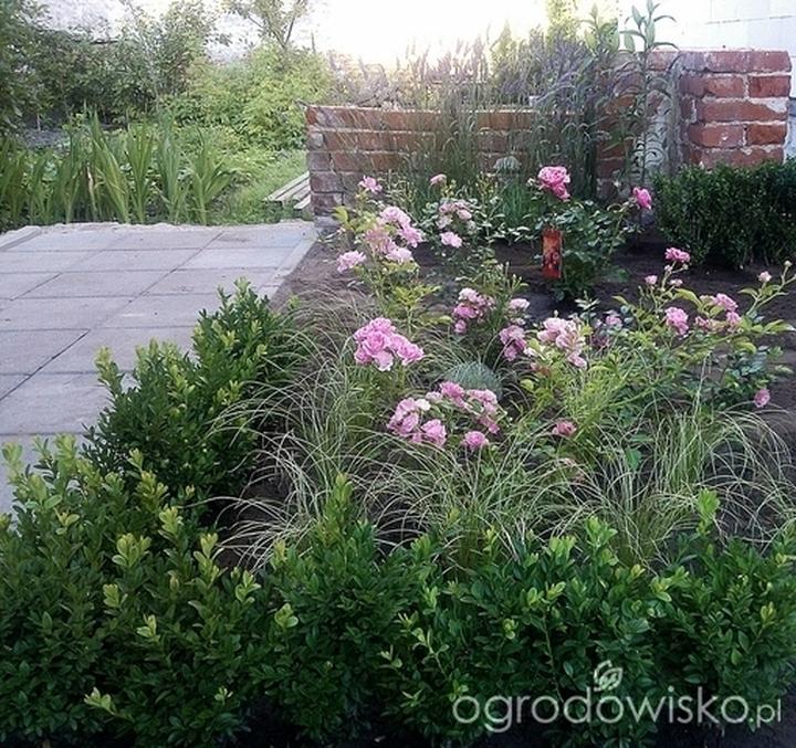 Przygotowanie gleby pod rabaty