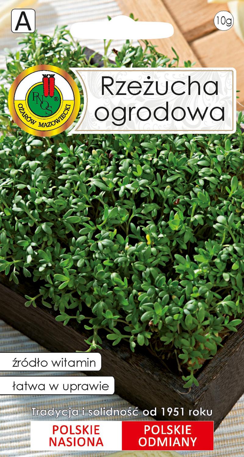 Uprawa rzeżuchy krok po kroku