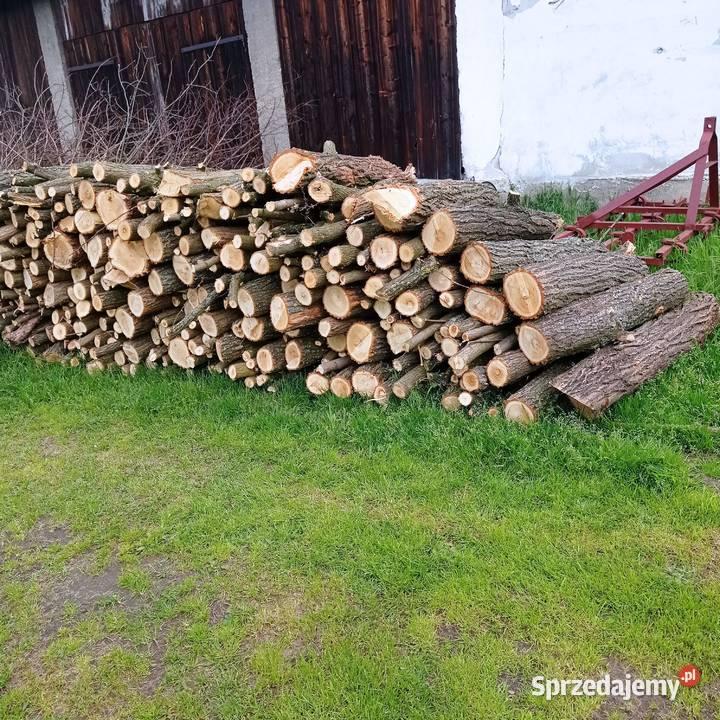 Wpływ opału na jakość powietrza w domu