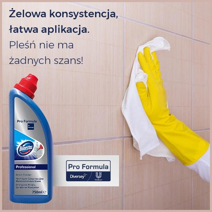 Czyszczenie ścian z pleśni