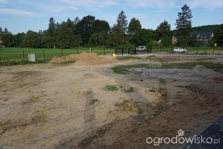 Najlepsze gatunki traw na glinie